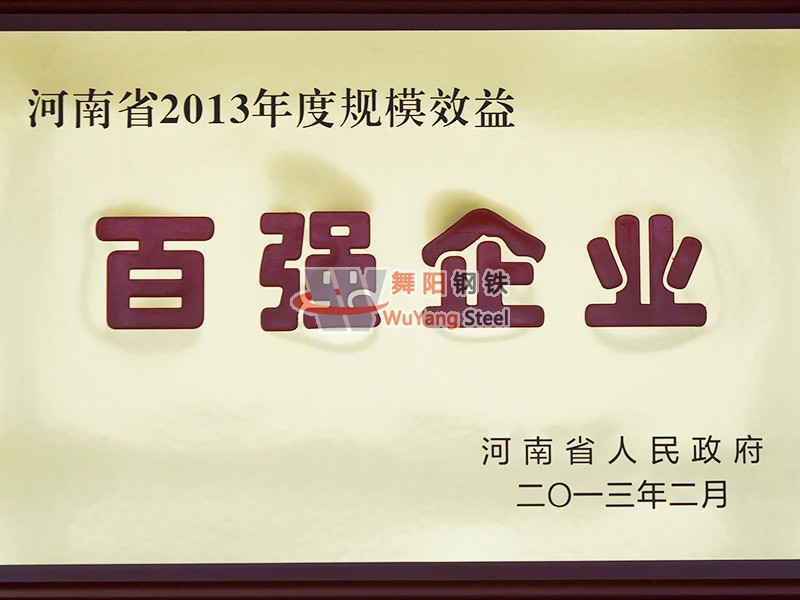舞陽鋼鐵公司-河南省2013年度百強企業